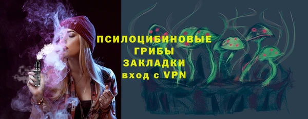 гидра Козловка